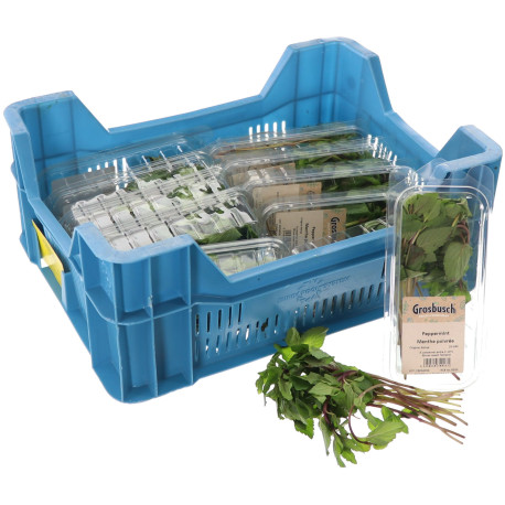 MENTHE POIVREE GROSBUSCH 12X20G